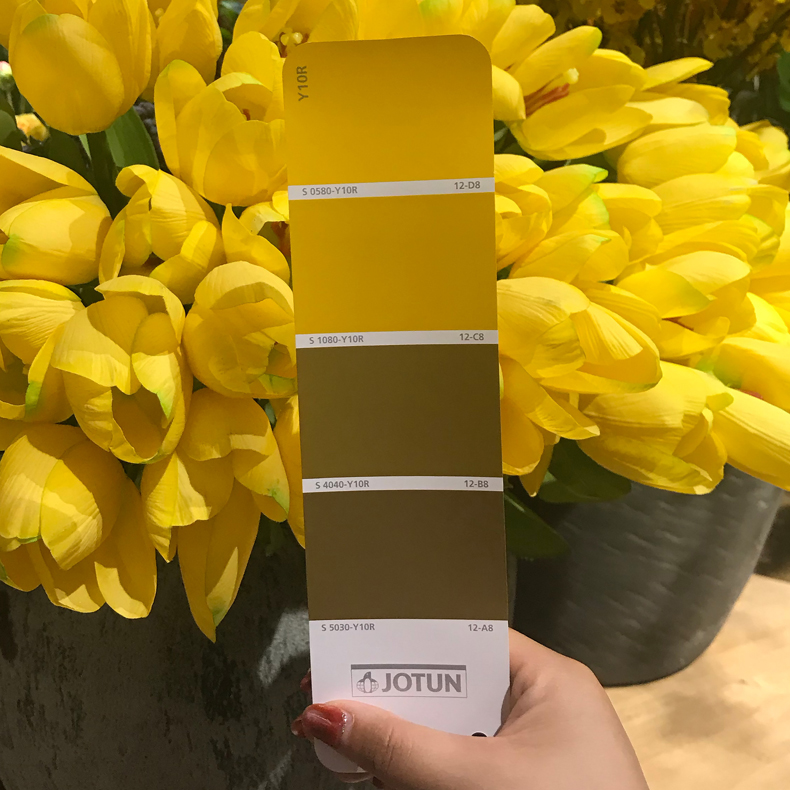 K8凯发(China)天生赢家一触即发油漆标准色卡