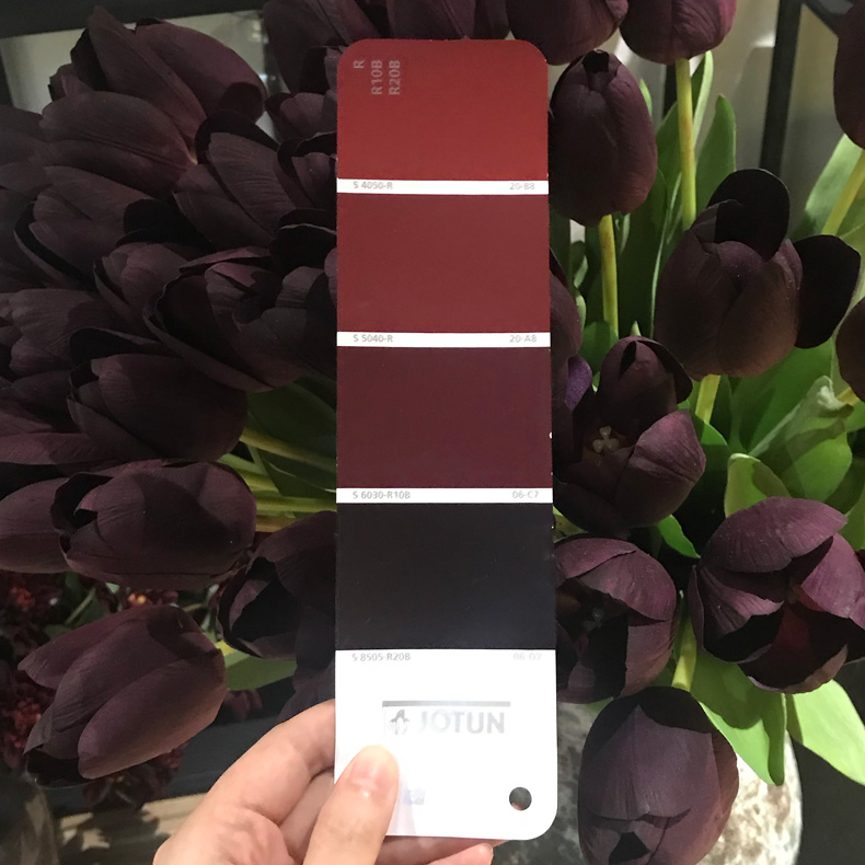 K8凯发(China)天生赢家一触即发油漆标准色卡